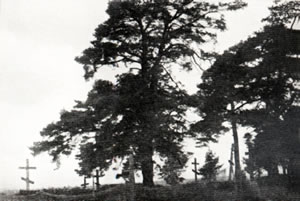 The Orthodox cemetry in Hatowicz, near Lake Narocz